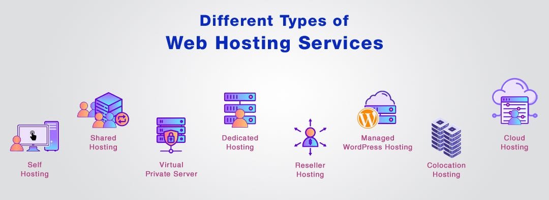 what is web hosting