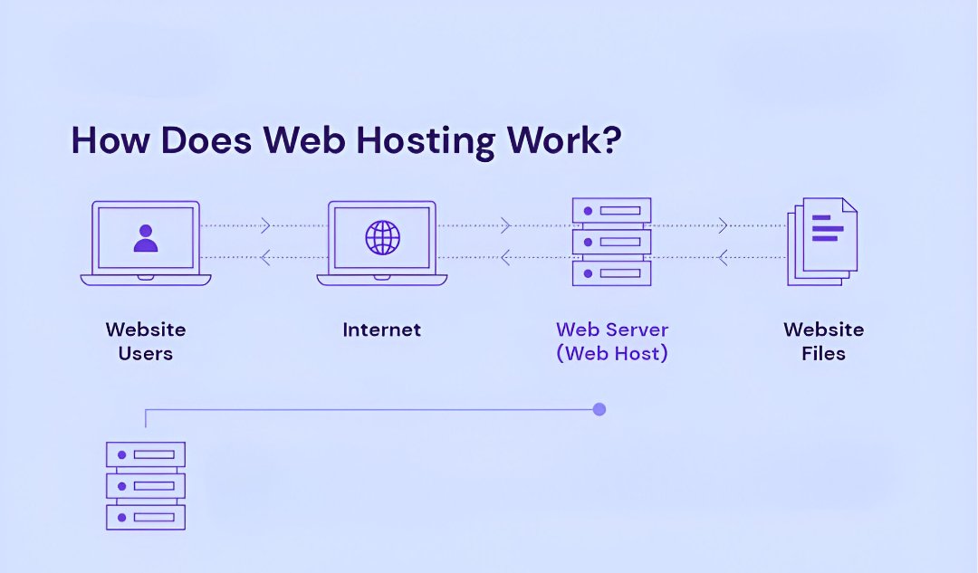 what is web hosting